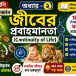 Previous